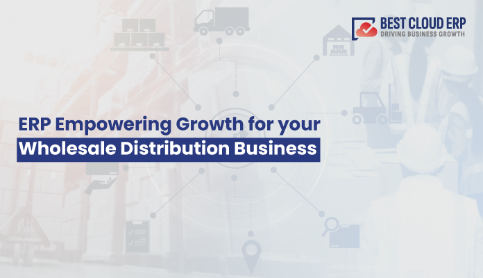 ERP for wholesale distribution: A Smart Solutions for your Business